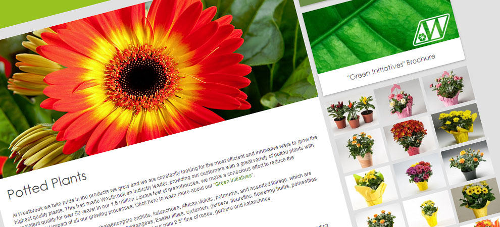 closeup of the Potted Plants page on Westbrook Floral